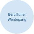 Beruflicher Werdegang